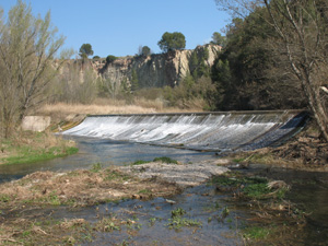 El Cardener