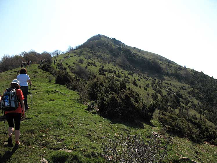 Camino de subida