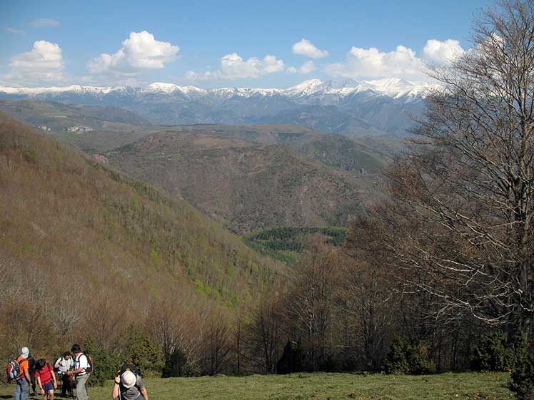 Vista de los Pirineos