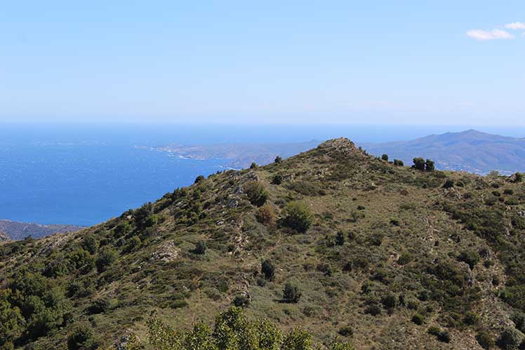 Vista del Cap de Creus