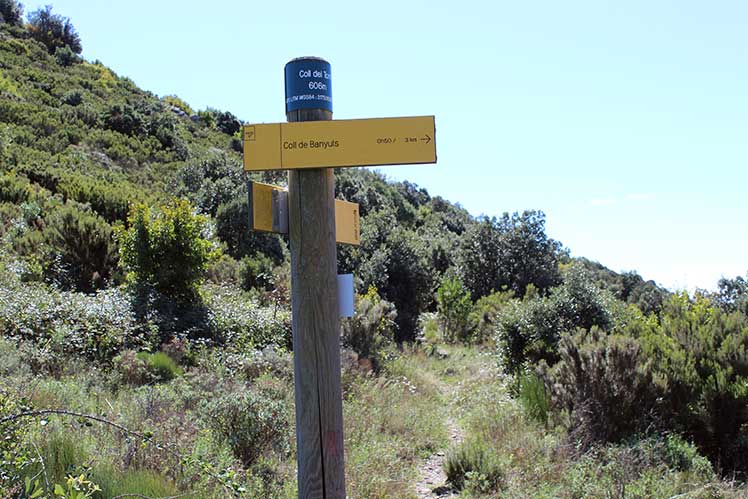 Coll del Torn