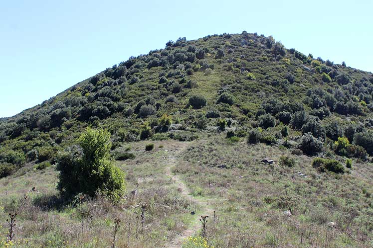 Coll de la perdiu