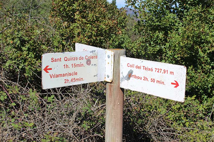 Coll del Teixó