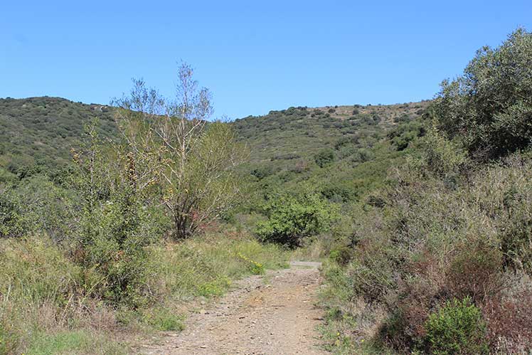 Pista GR-11