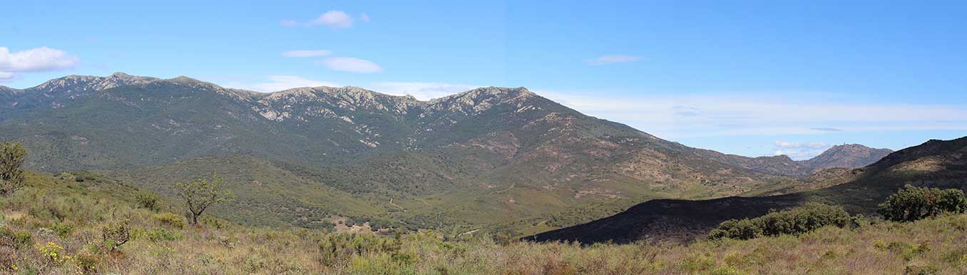 Pic de Sallafort al centre i Coll de Banyuls a la dreta