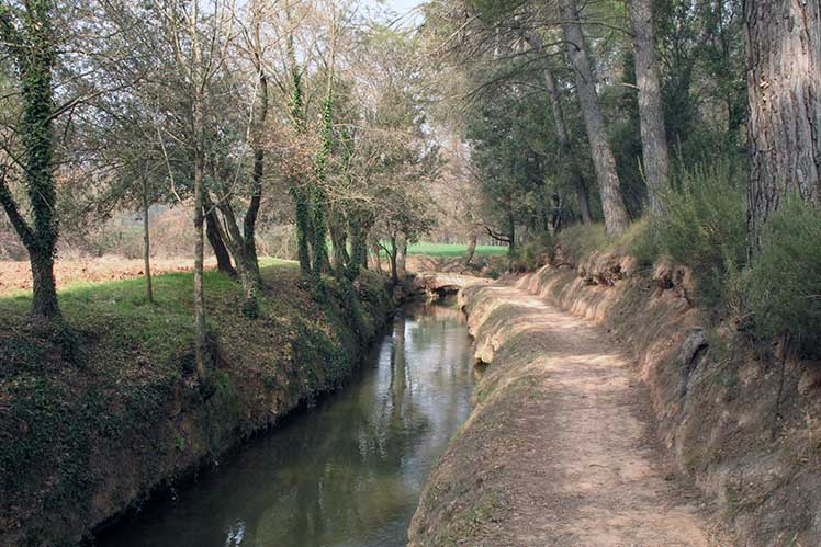 La acequia