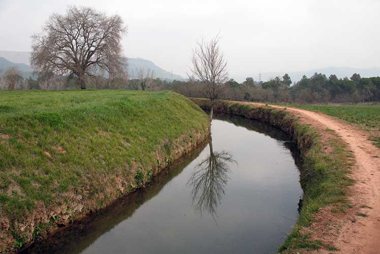 La acequia en invierno