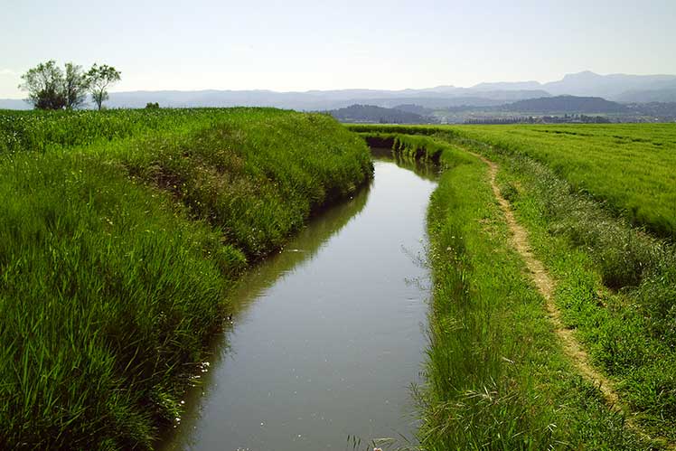 El Montcau al fondo