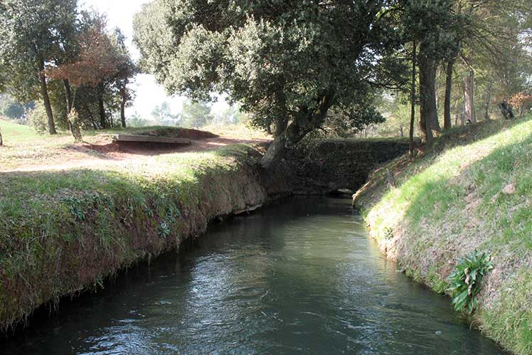 La acequia