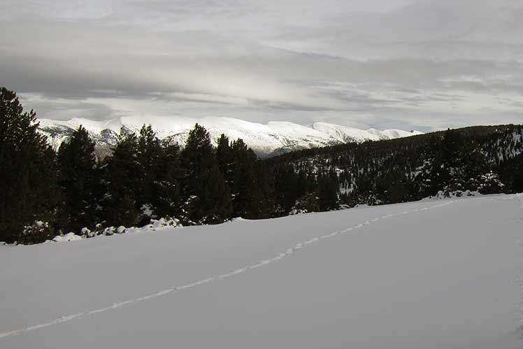 Vista de la Sierra del Cadí